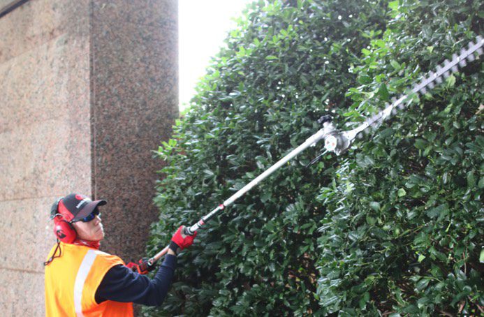 Maruyama Model EH230DSL Blade Length 24 in EH230DSL 