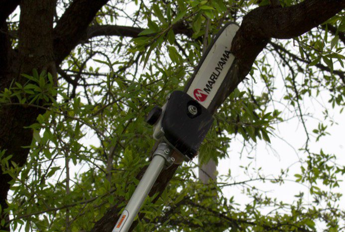 Maruyama Model PS300 Main Category Handheld Power Equipment Deal Maruyama Other Equipment Pruners Related products Maruyama E300S Straight Shaft Edger PS300 