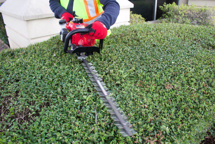 Maruyama Model H23DFLR Blade Length 30 in H23DFLR 