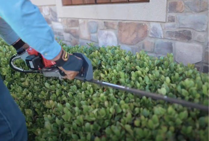 this a must have for your hedge trimmer needs H23F 