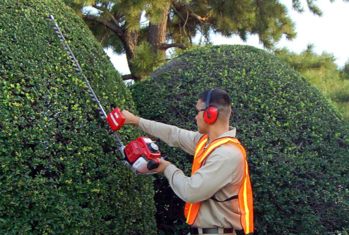 this a must have for your hedge trimmer needs H23FL 