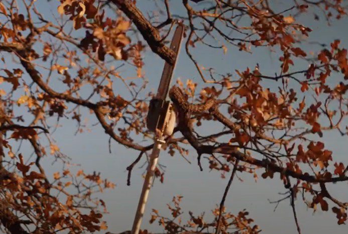 this tool work hard season after season TPP270 