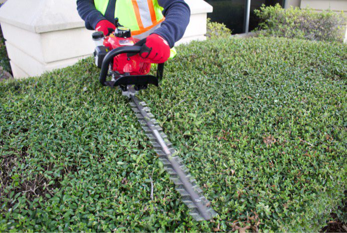 Maruyama Model H23DFL Blade Length 30 in H23DFL 