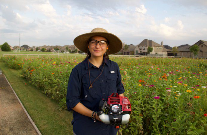 Maruyama Model BT230L Main Category Handheld Power Equipment Deal Maruyama Other Equipment Trimmers Related products Maruyama H23DFL Double Edge Hedge Trimmer BT230L 