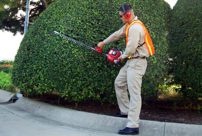 this a must have for your hedge trimmer needs H23FL 