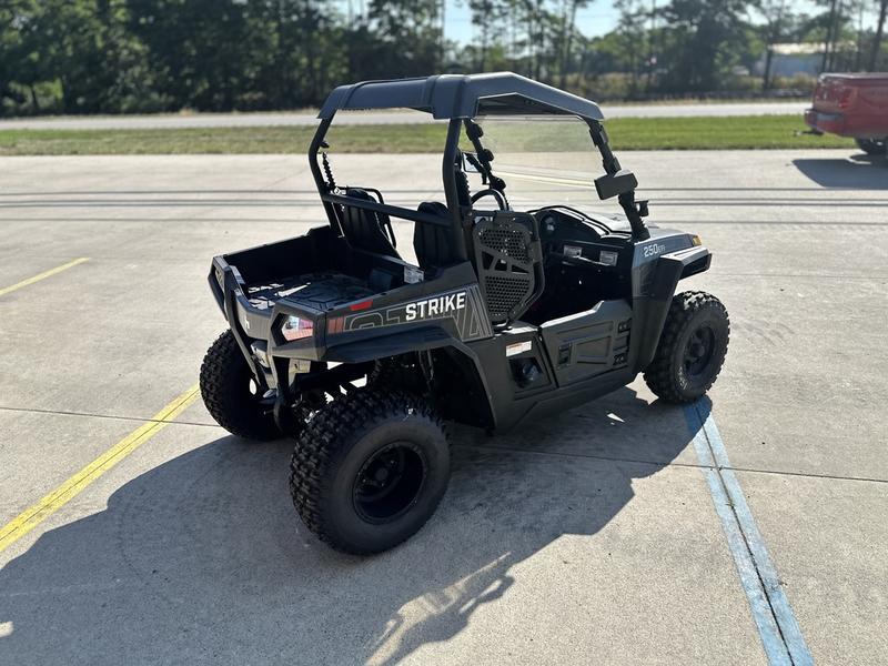 Hisun Motors Model Strike 250R Vehicle Type Utility Vehicle Category Side by Side Payments Get an Estimate for Your Payment Payment Frequency Strike 250R Vehicle Type Utility Vehicle Category Side by Side Payments Get an Estimate for Your Payment Payment Frequency 
