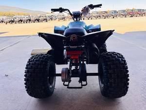 Can-Am Name Renegade 110 EFI Trim Name Base Generic Type 