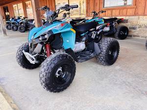 Can-Am Name Renegade 110 EFI Trim Name Base Generic Type 