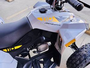 Can-Am Name Renegade 110 EFI Trim Name Base Generic Type 
