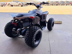 Can-Am Name Renegade 110 EFI Trim Name Base Generic Type 