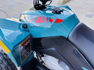 Can-Am Name Renegade 110 EFI Trim Name Base Generic Type 