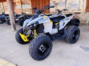 Can-Am Name Renegade 110 EFI Trim Name Base Generic Type 