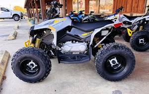 Can-Am Name Renegade 110 EFI Trim Name Base Generic Type 