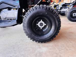 Can-Am Name Renegade 110 EFI Trim Name Base Generic Type 