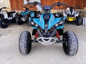 Can-Am Name Renegade 110 EFI Trim Name Base Generic Type 