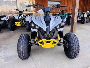 Can-Am Name Renegade 110 EFI Trim Name Base Generic Type 