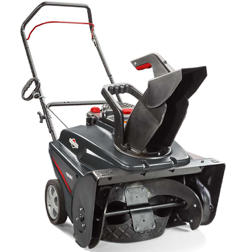 Briggs & Stratton 22" 