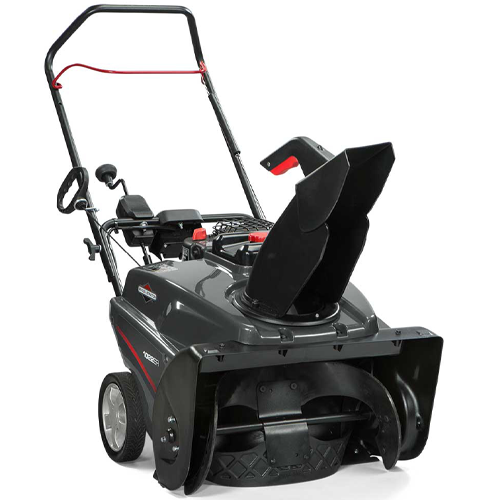 Briggs & Stratton 22" 