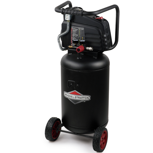 Briggs & Stratton 10